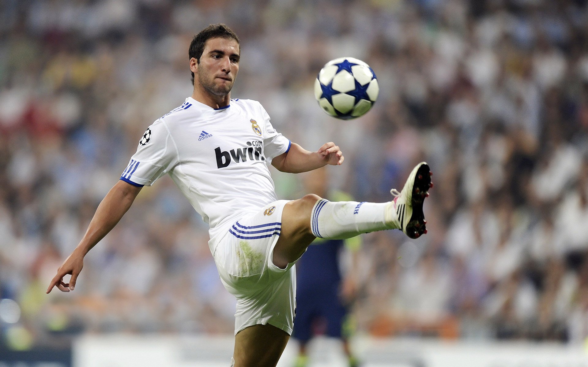 独行侠团队协作更胜以往,东契奇如鱼得水,nba独行侠球员东契奇是哪个国家