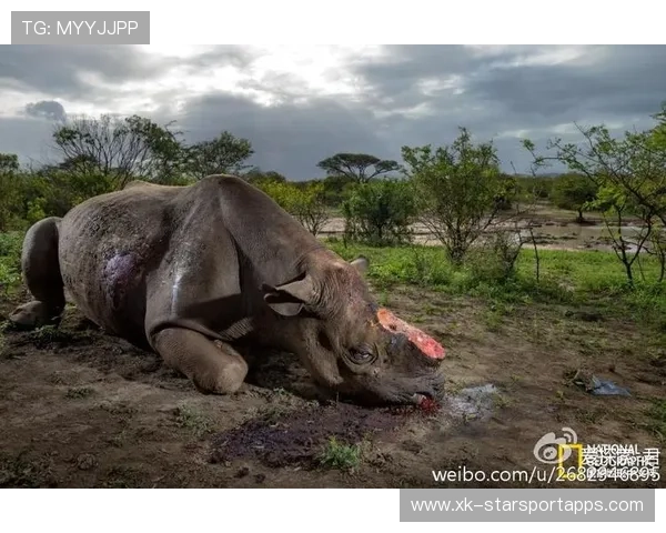 经典瞬间：最令人感动的逆转画面！，瞬间让人感动