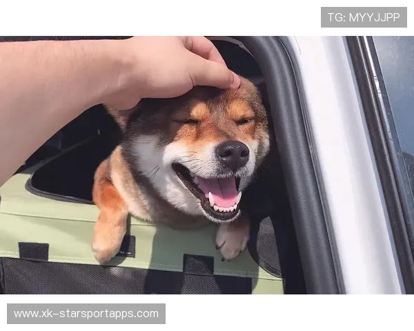 赛季最燃瞬间：长途奔袭满窗大胜！，适合长途奔袭的车